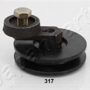 RP-317