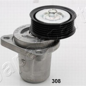 TS-308