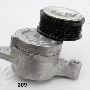 TS-309