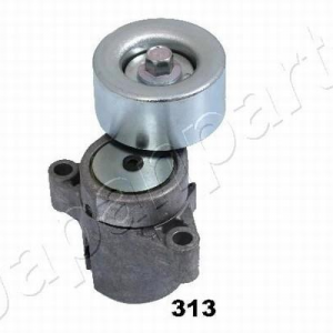 TS-313