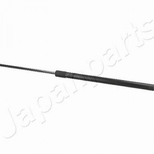 ZS01015