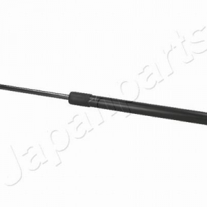 ZS01017