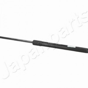 ZS01031