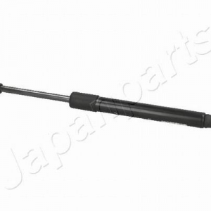 ZS01035