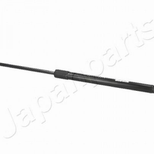 ZS01036