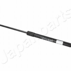 ZS01043