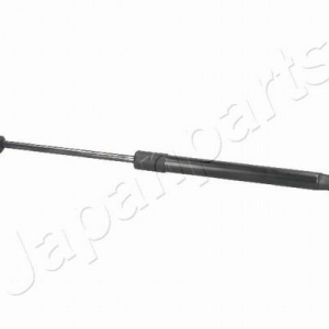 ZS01047