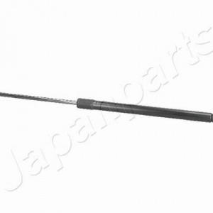 ZS01059