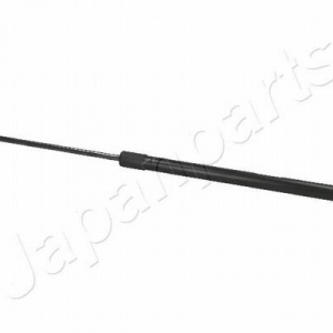 ZS01060