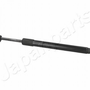 ZS01080