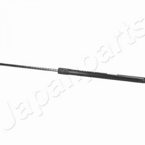 ZS01089