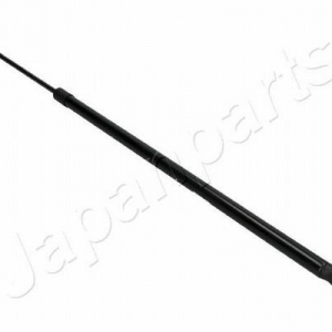ZS10028