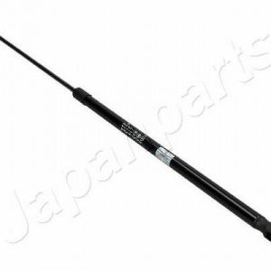ZS10035