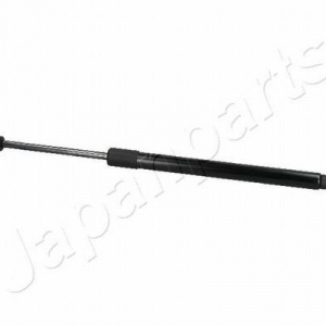 ZS10039