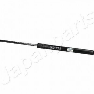 ZS10045