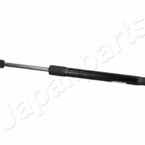 ZS10055