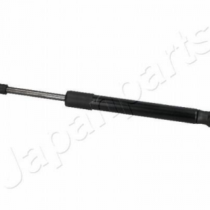 ZS10056