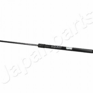 ZS30002