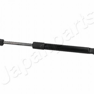 ZS30004