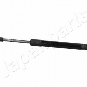 ZS30009