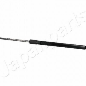ZS30019