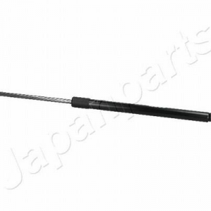 ZS30020