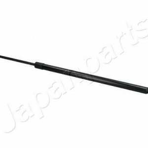 ZS40019
