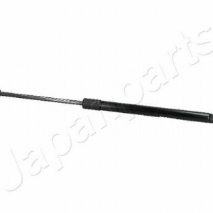 ZS50006