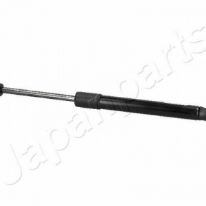 ZS50011