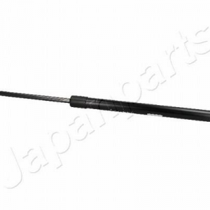 ZS50012