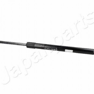 ZS50013