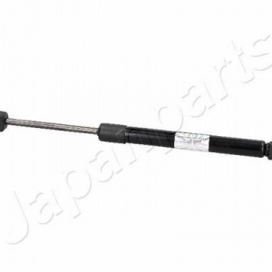 ZS50017