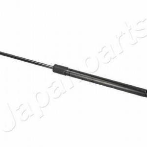 ZSS0001