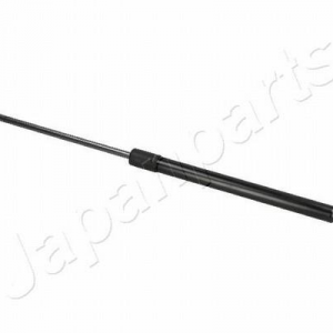 ZSW0012