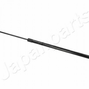 ZSW0019